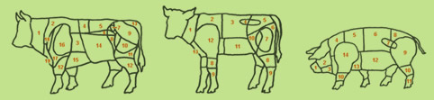 Viehbild Einteilung der Fleischbereiche